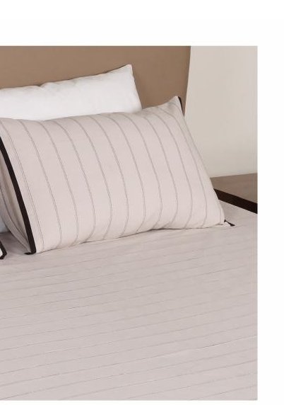 1 Bedsheet, 2 Pillow Covers photo 2