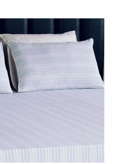 1 Bedsheet, 2 Pillow Covers photo 2