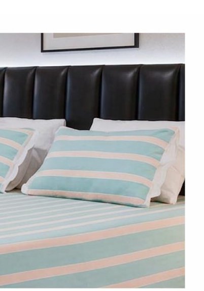 1 Bedsheet, 2 Pillow Covers photo 2