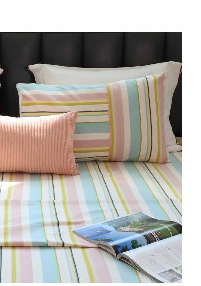 1 Bedsheet, 2 Pillow Covers photo 2