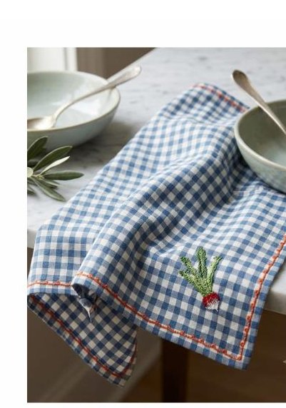 Napkin Pack of 6